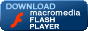 Download Flash Player